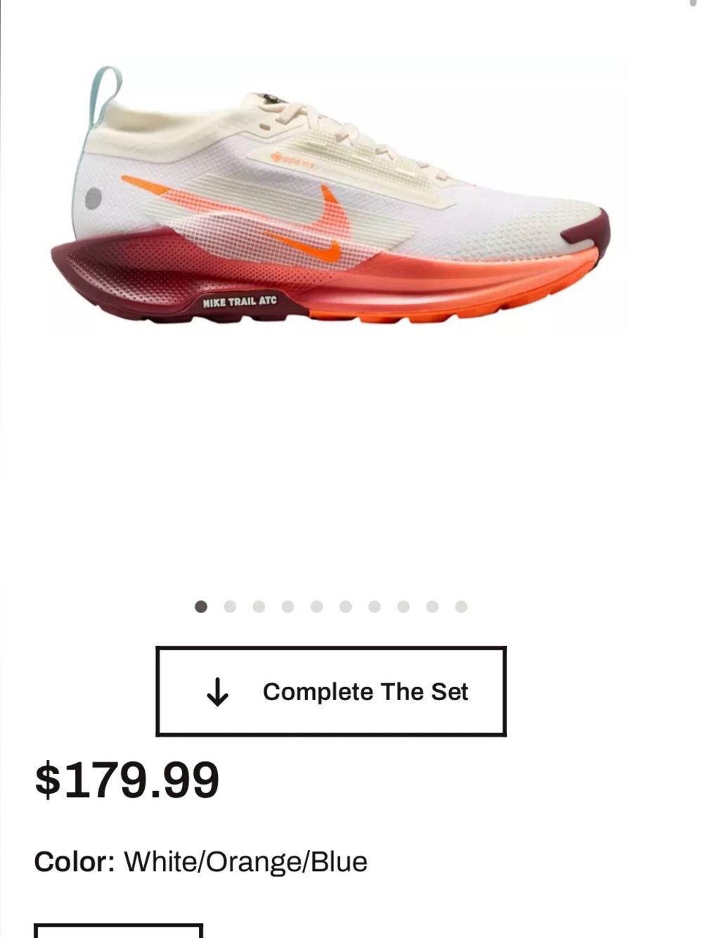 Nike Women's Pegasus Trail 5 GORE-TEX Running Shoes